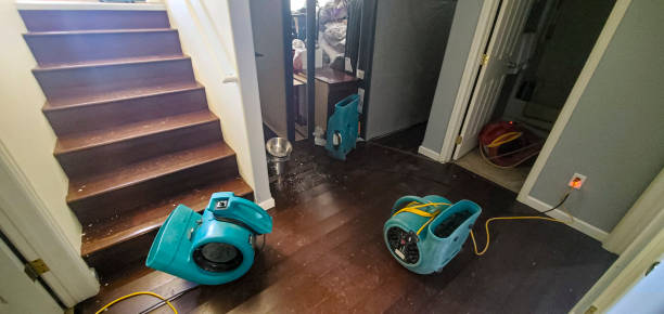 Best Flooded house restoration  in Van, TX