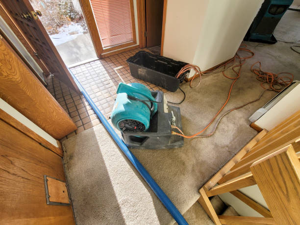 Best Water damage cleanup near me  in Van, TX