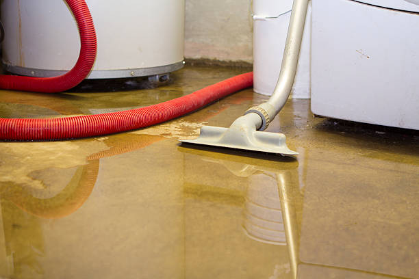 Best Water damage restoration cost  in Van, TX