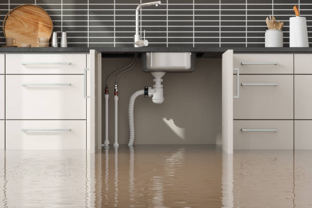 Best Residential water damage restoration  in Van, TX