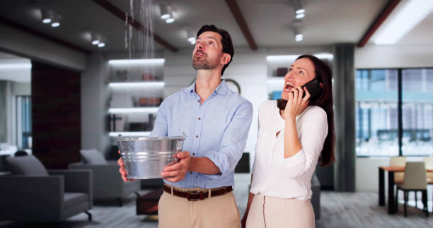 Best Basement water damage restoration  in Van, TX