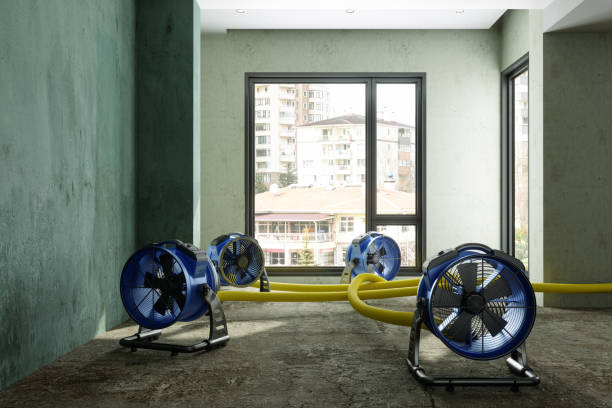 Best Commercial water damage restoration  in Van, TX